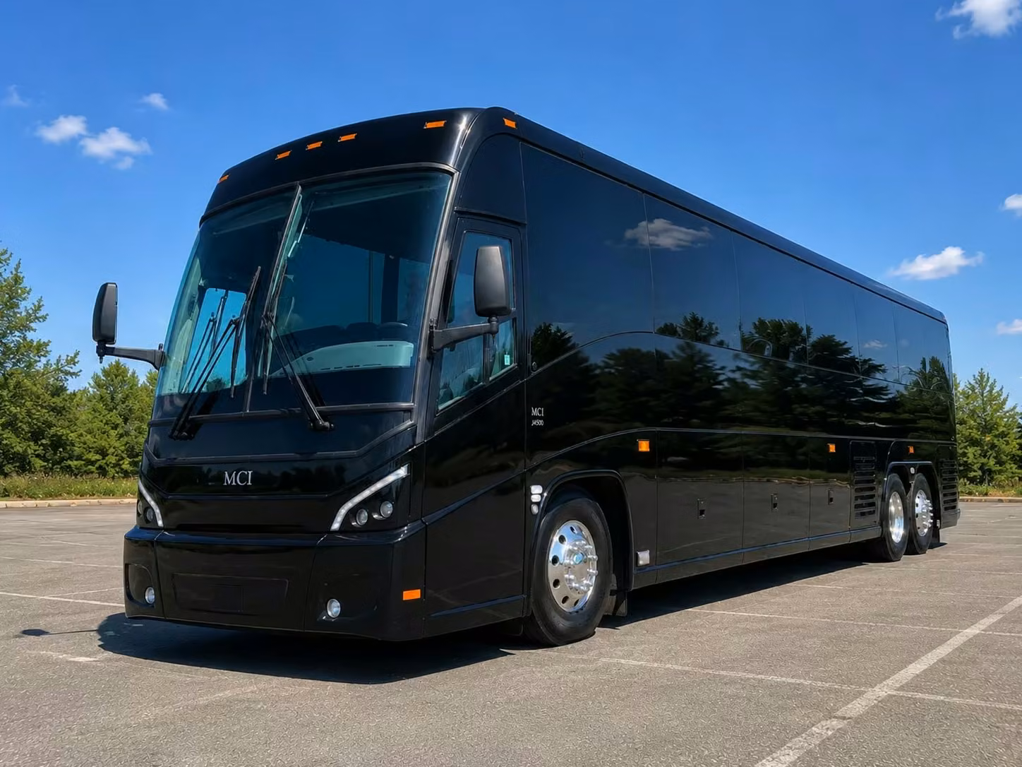dalton buses