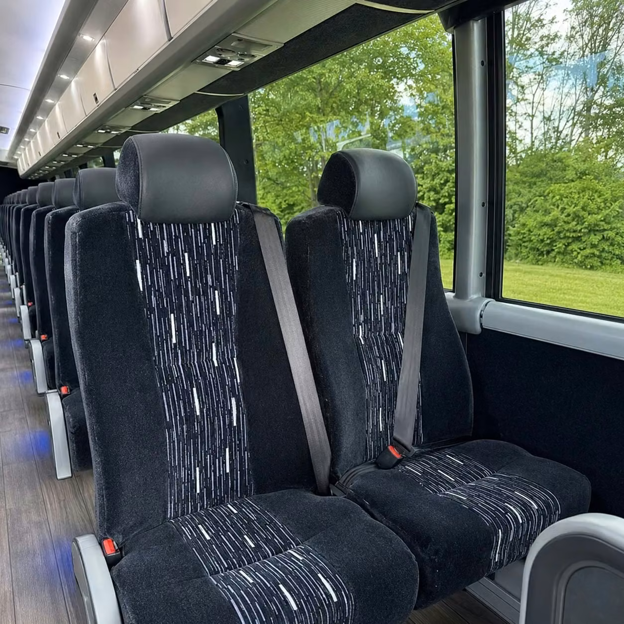 dalton charter bus interior 1