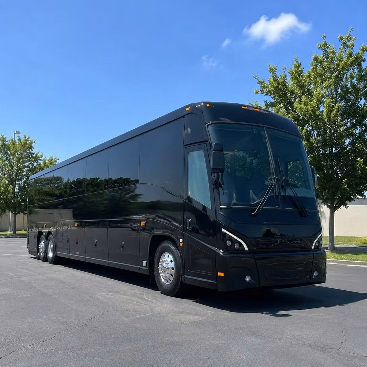 dalton long distance dalton bus rentals built around your custom itinerary