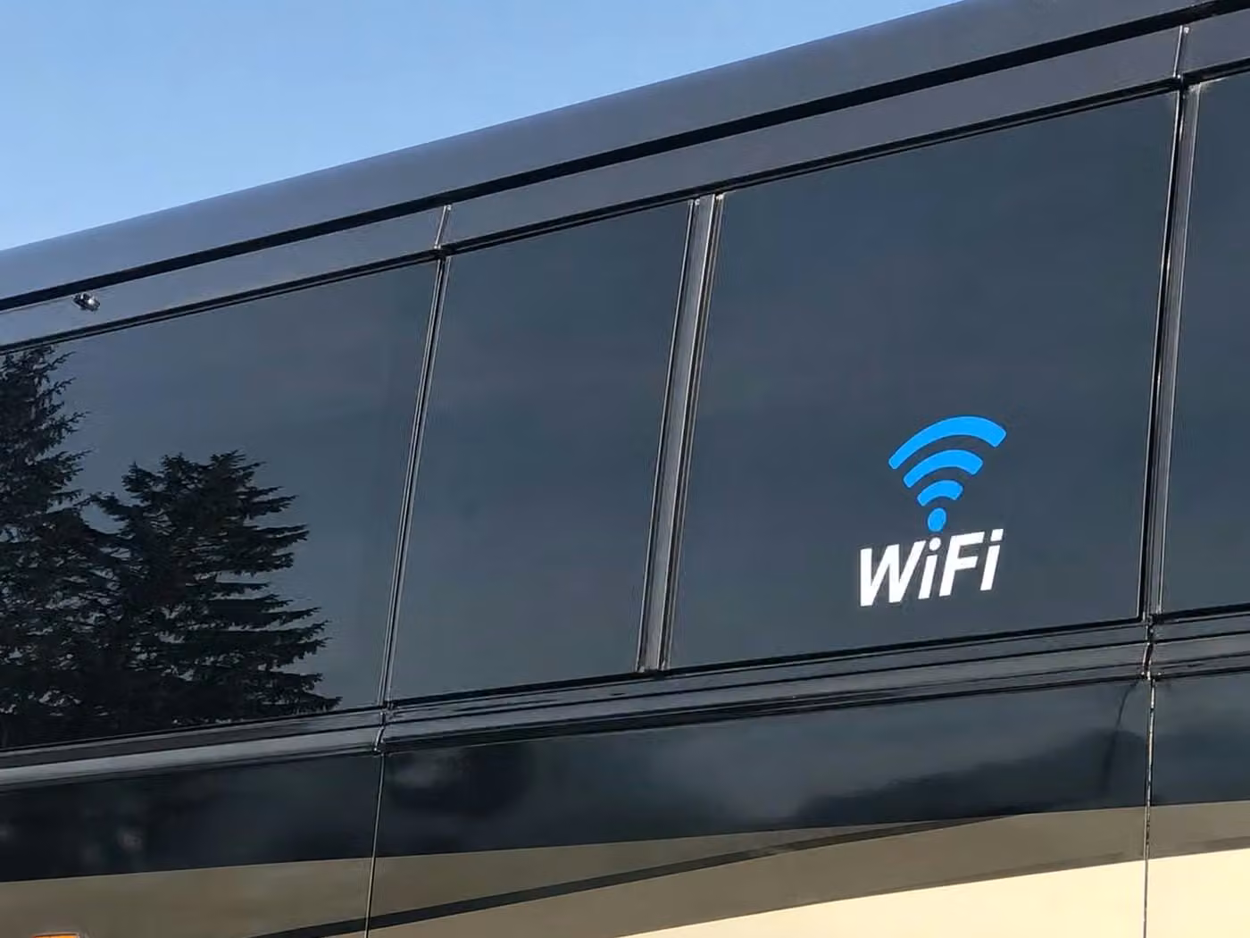 dalton sprinter van rental with driver wifi