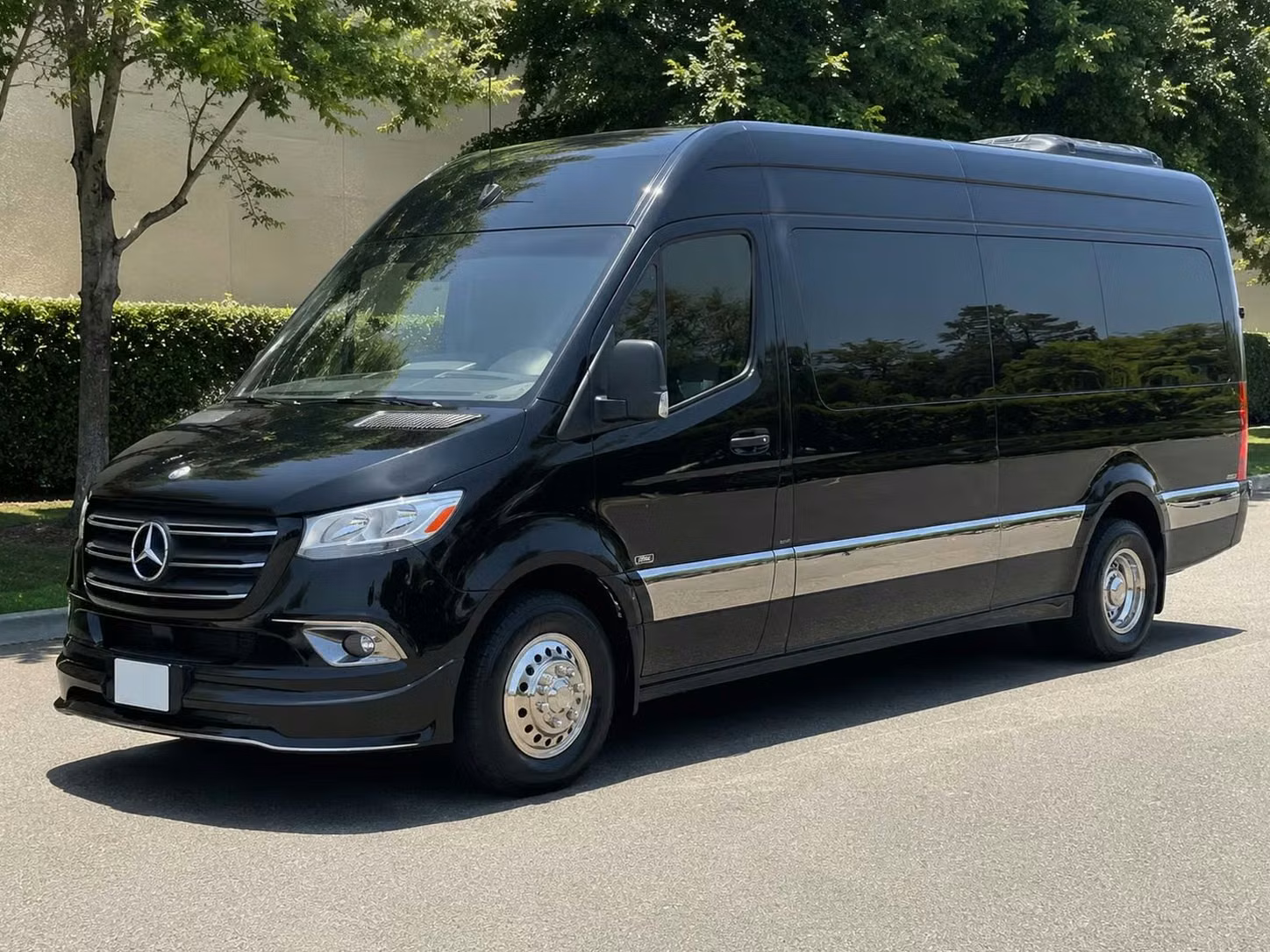 dalton sprinter van rental with driver