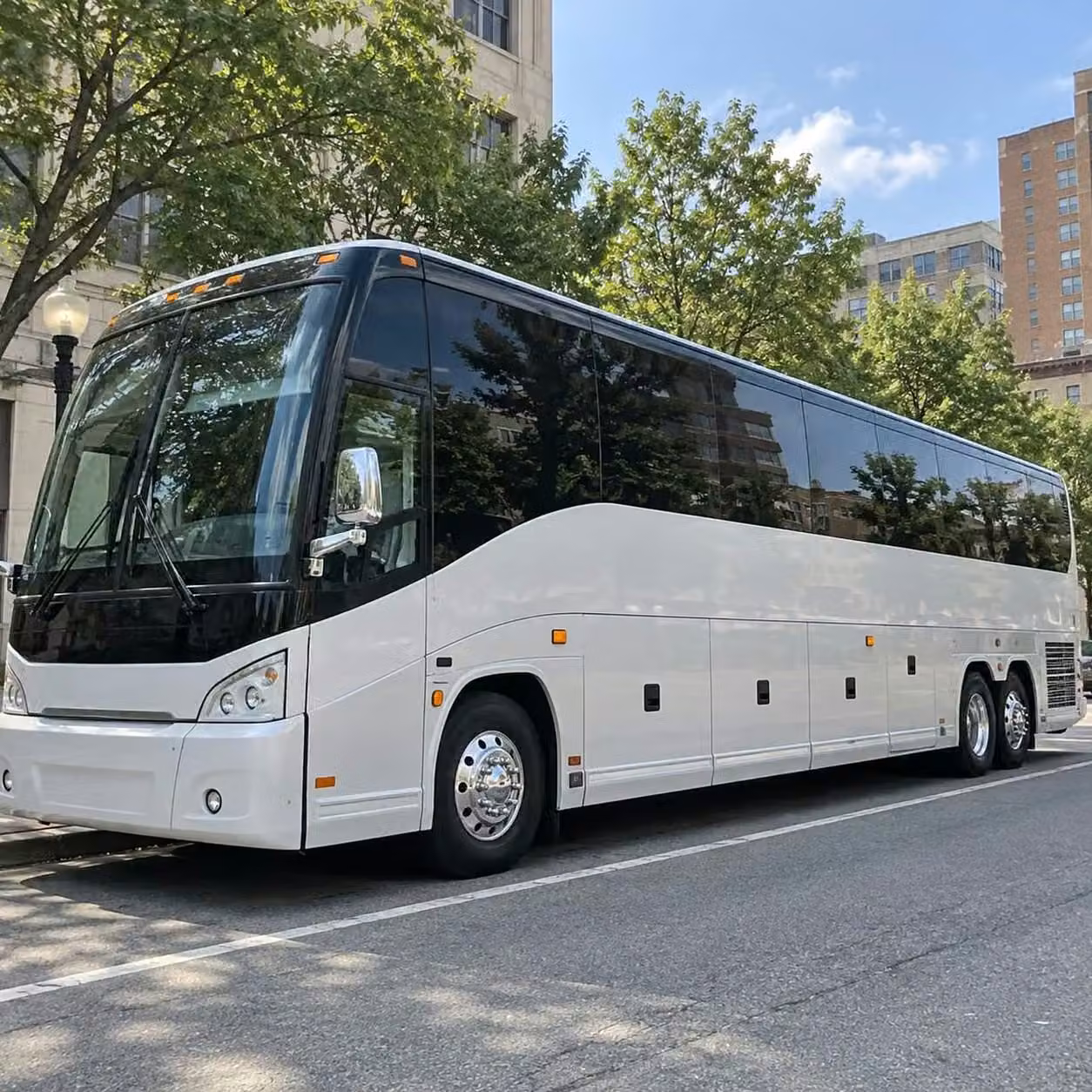 dalton use a charter bus for a bachelor or bachelorette party in dalton