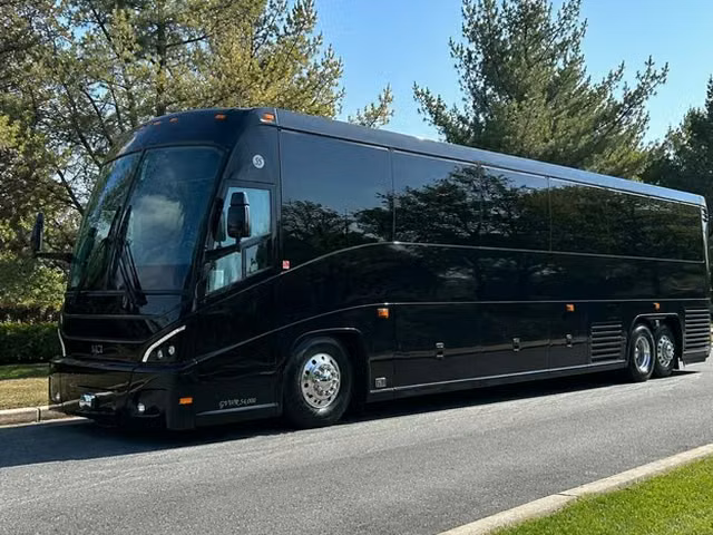 dalton charter buses